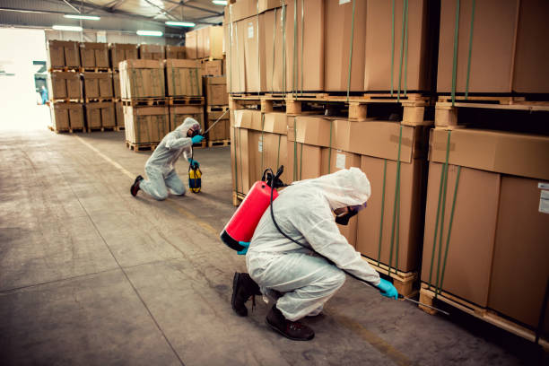 Trusted Vinton, TX Pest Control Experts