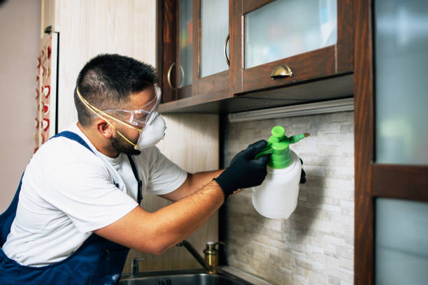 Best Pest Control Near Me in Vinton, TX