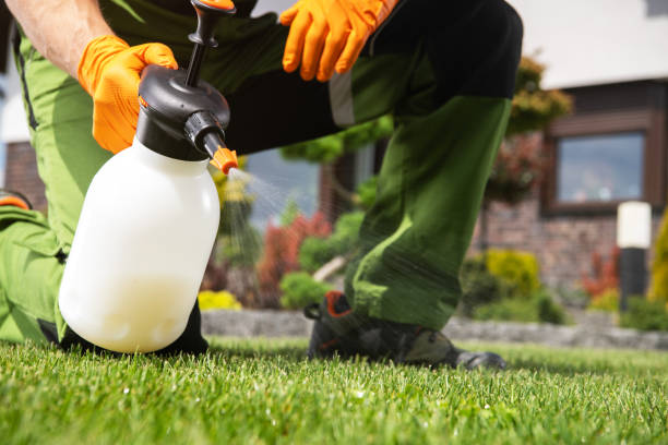 Best Affordable Pest Control Services  in Vinton, TX