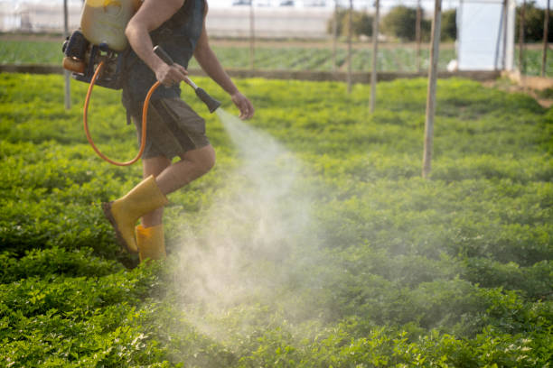 Best Exterminator Services  in Vinton, TX