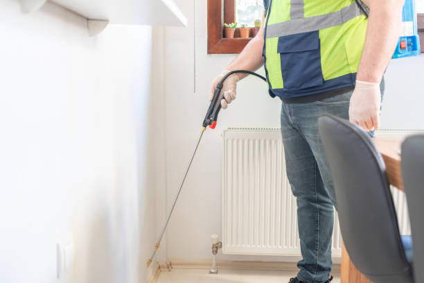 Best Affordable Pest Control Services  in Vinton, TX