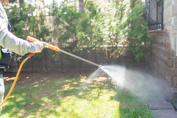Best Insect Control  in Vinton, TX
