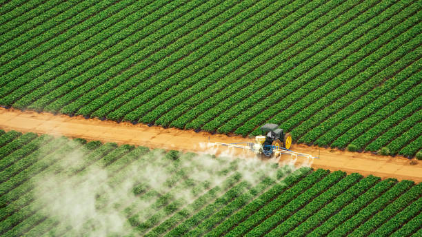 Best Termite Control Services  in Vinton, TX