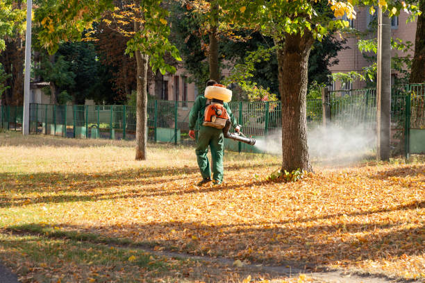 Best Spider Control Near Me  in Vinton, TX