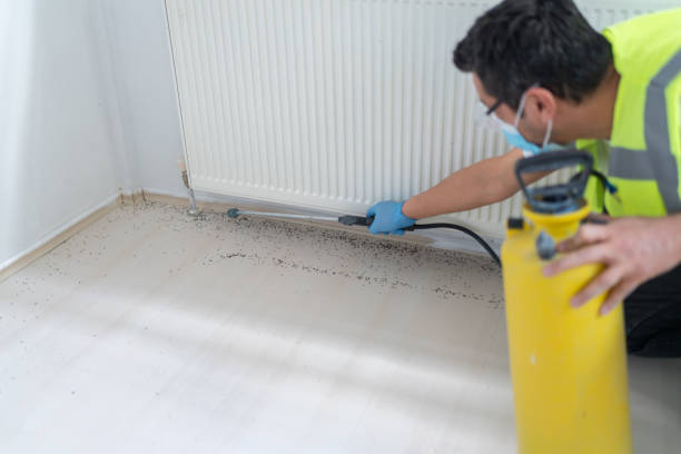Best Affordable Pest Control Services  in Vinton, TX