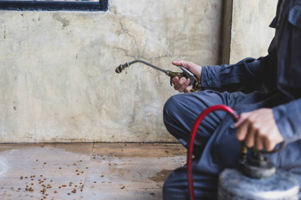 Best Pest Prevention Services  in Vinton, TX