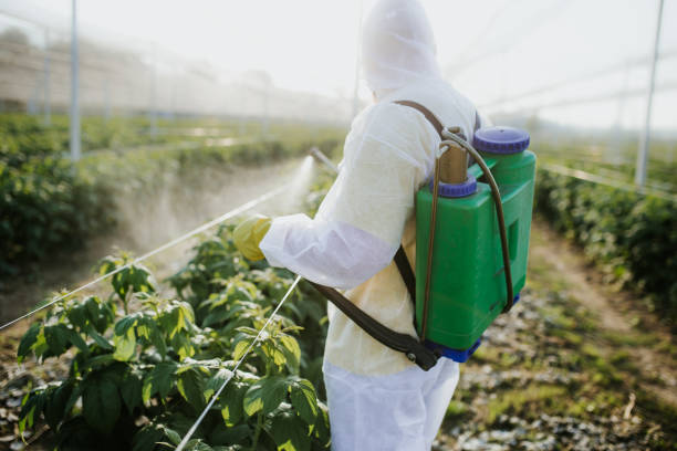Best Exterminator Services  in Vinton, TX
